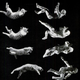 Illustration for article titled The experiment to determine whether an astronaut could fall like a cat